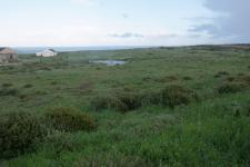 Land for Sale for sale in Saldanha