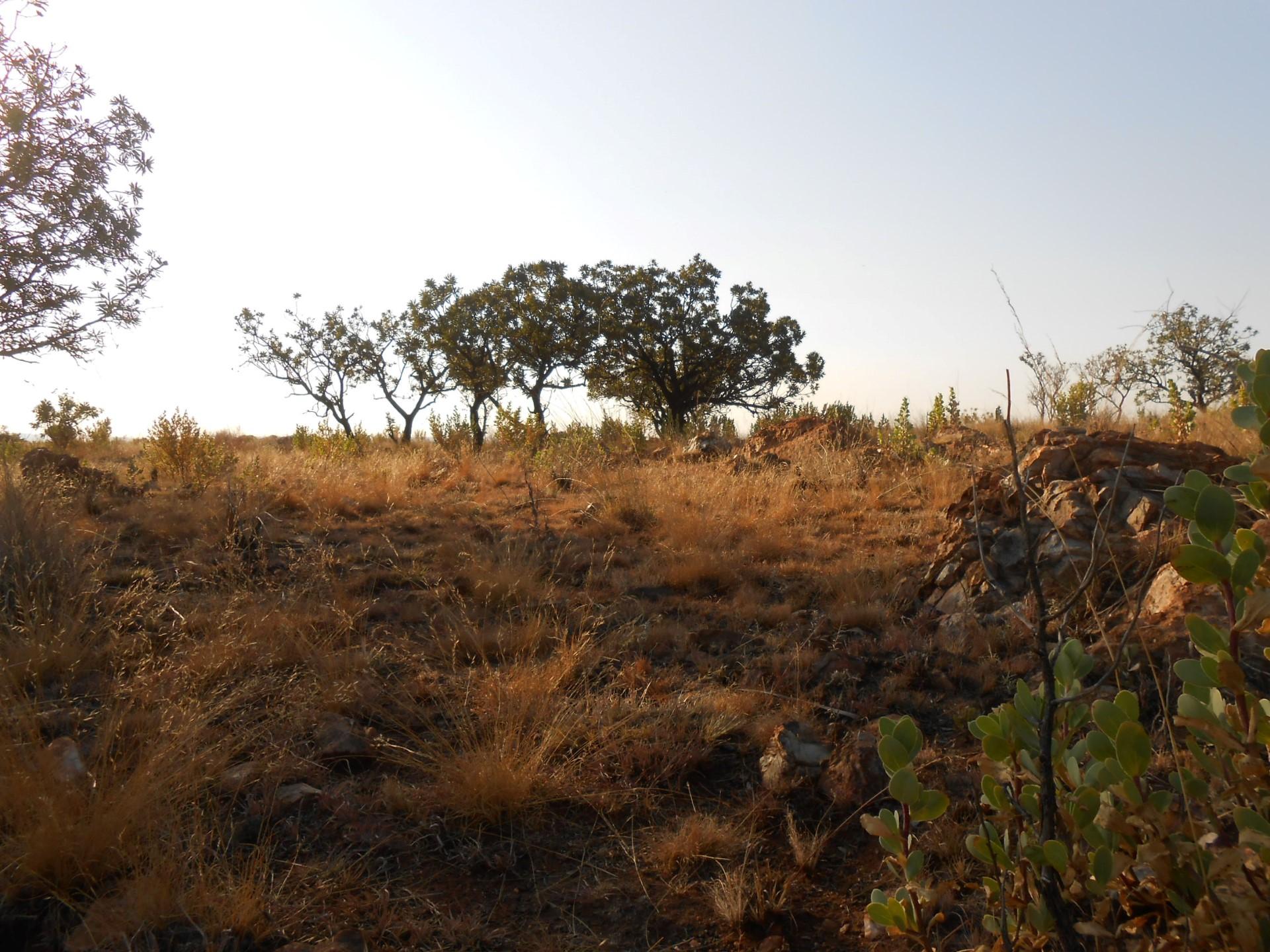 Front View of property in Krugersdorp