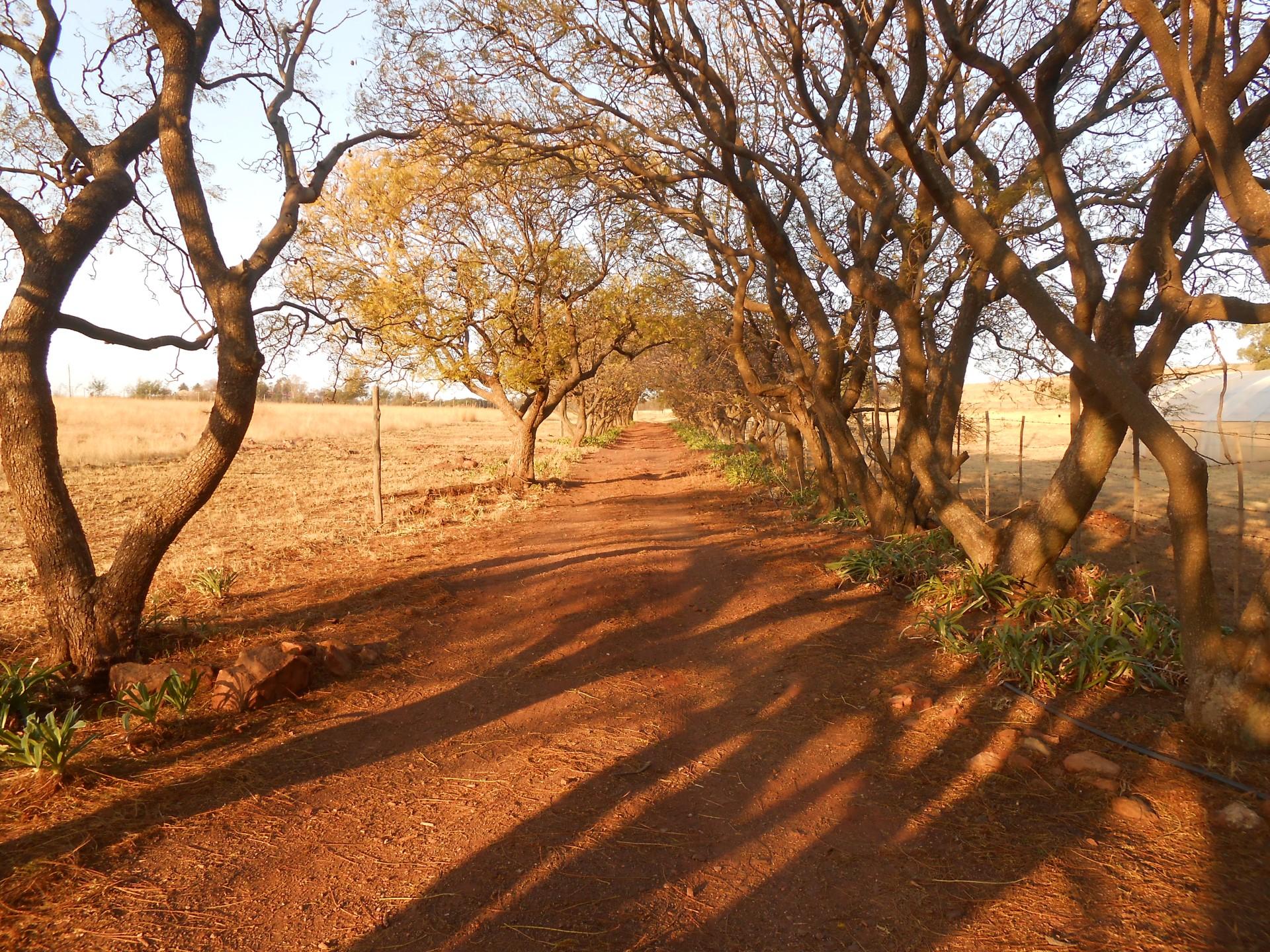 Front View of property in Krugersdorp