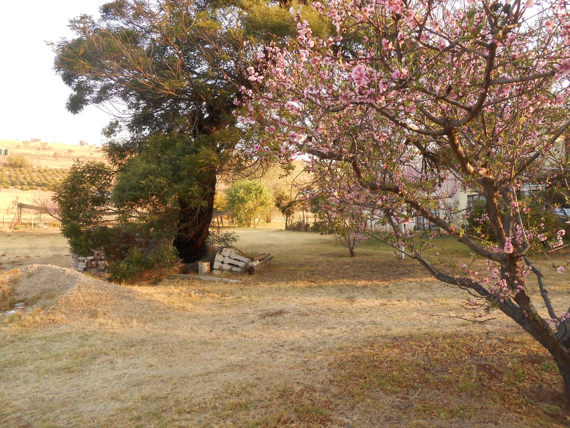 Front View of property in Krugersdorp