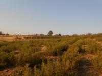 Front View of property in Krugersdorp