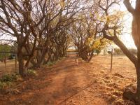 Front View of property in Krugersdorp