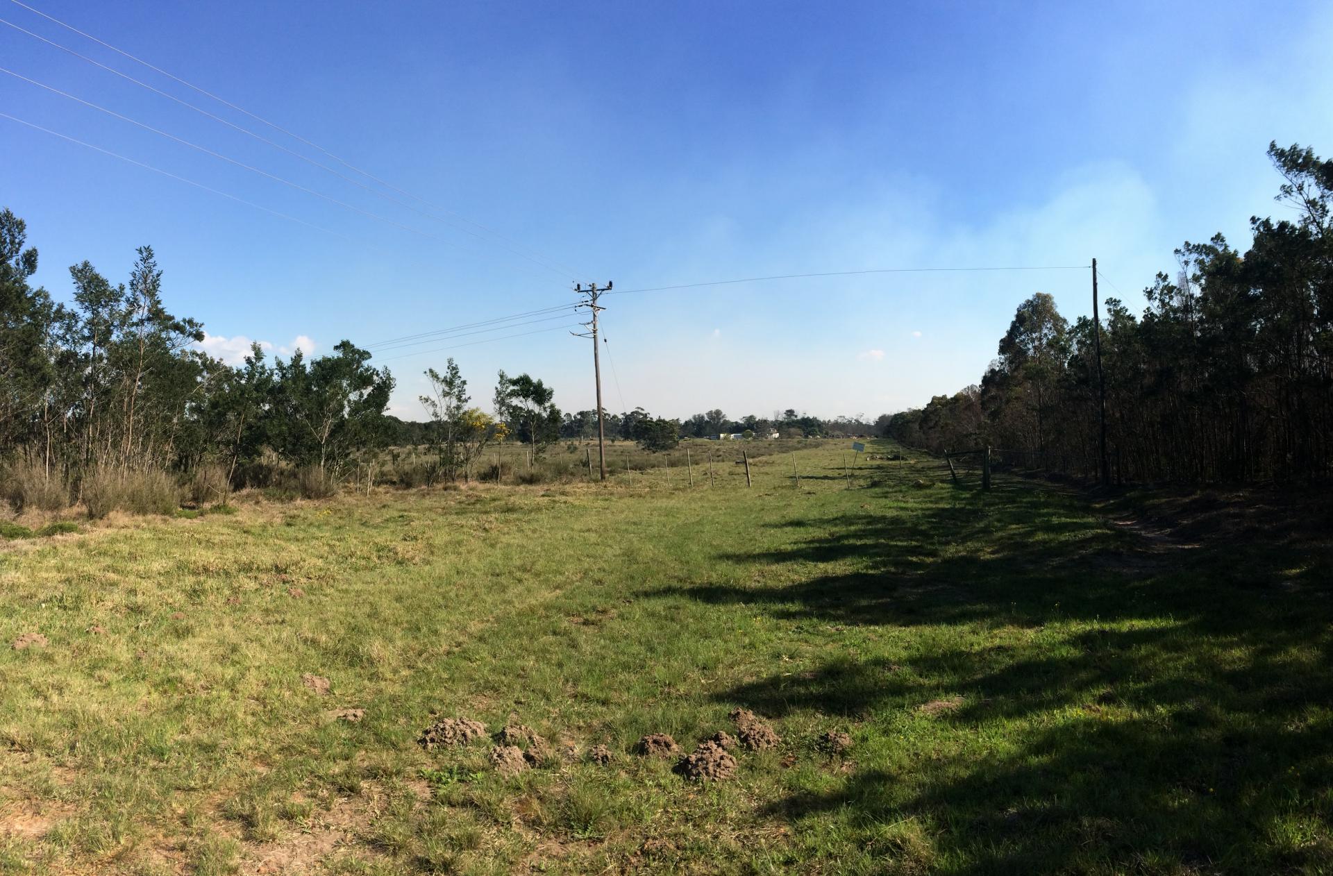 Front View of property in Greenbushes