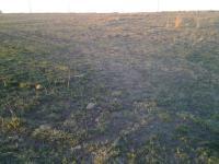 Land for Sale for sale in Oranjeville