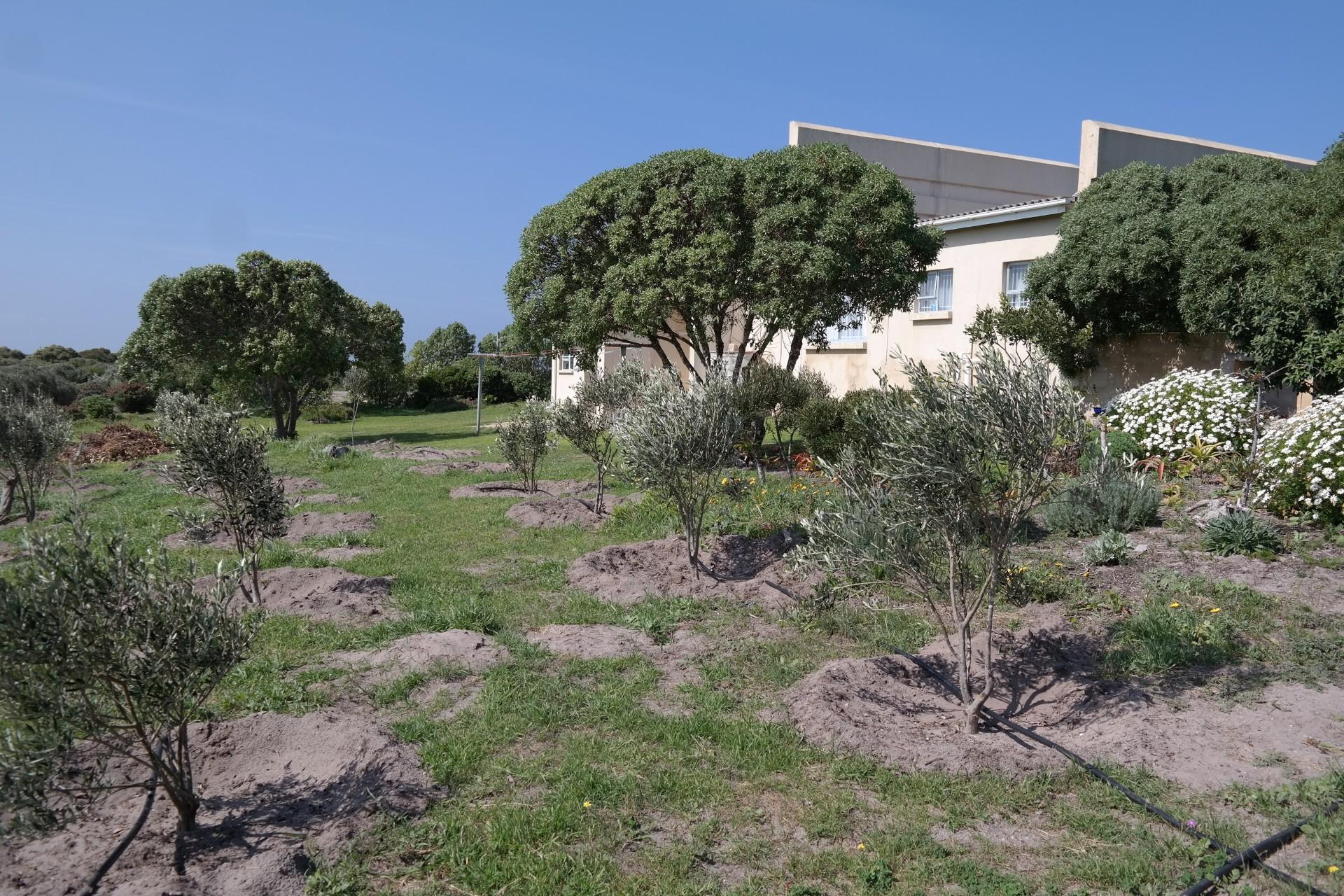 Spaces - 28 square meters of property in Birkenhead