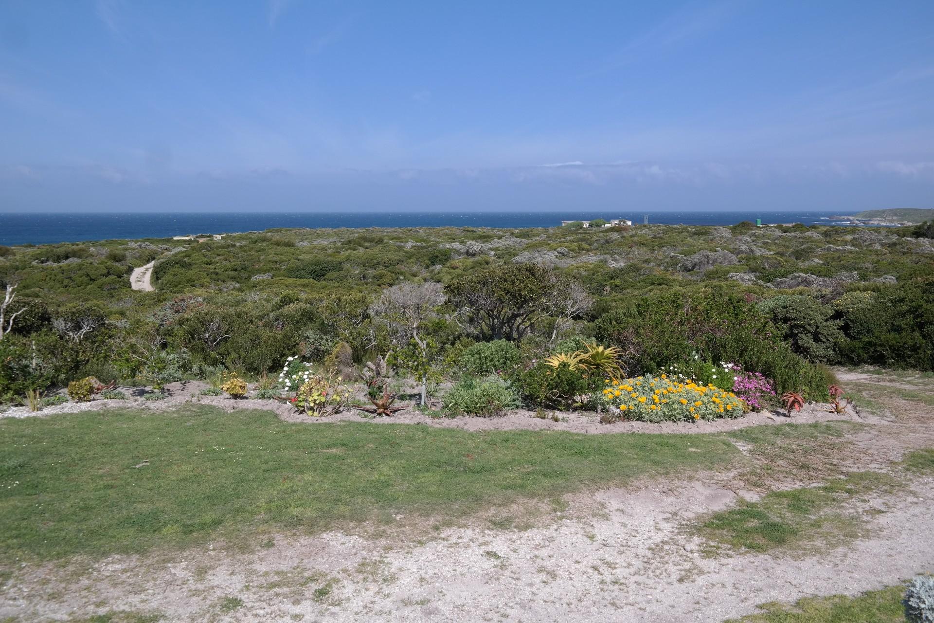 Spaces - 28 square meters of property in Birkenhead