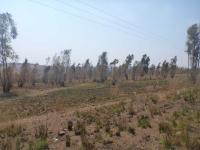 Smallholding for Sale for sale in Krugersdorp