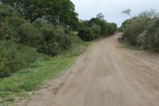 Land for Sale for sale in Bathurst