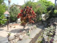Garden of property in Scottburgh