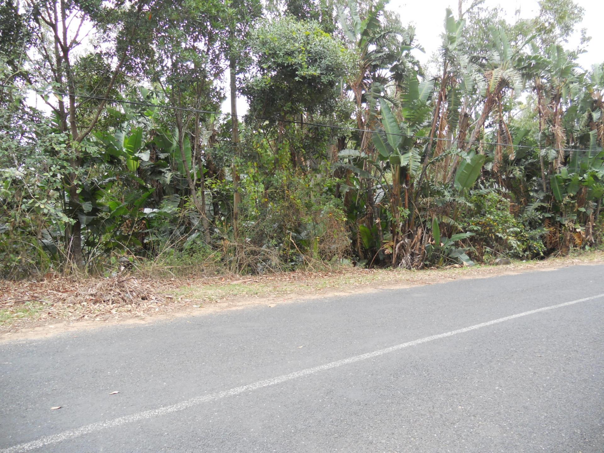 Front View of property in Leisure Bay