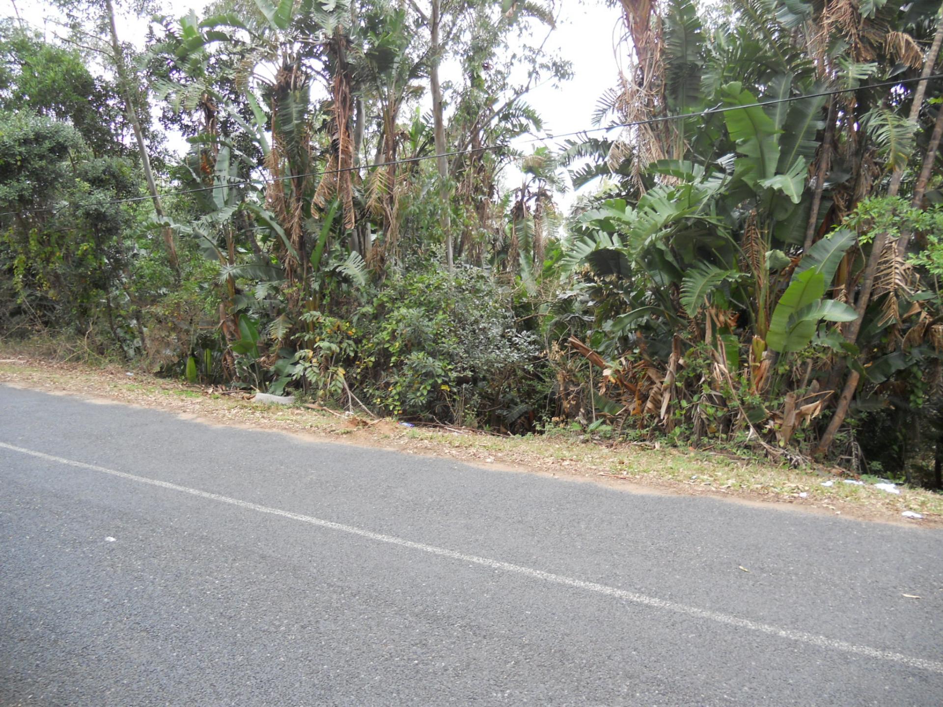 Front View of property in Leisure Bay