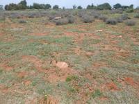 Land for Sale for sale in Henley-on-Klip