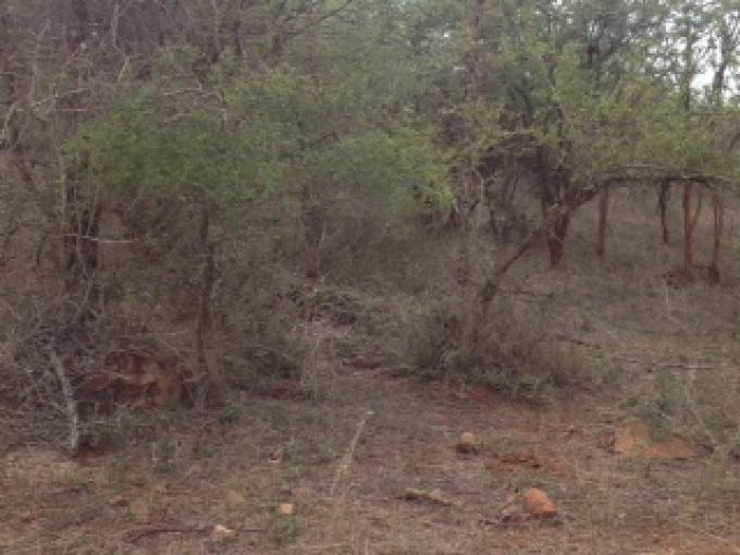 Land for Sale For Sale in Marloth Park - Private Sale - MR119201