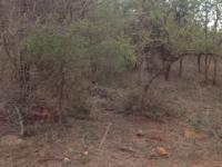 Front View of property in Marloth Park