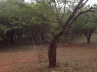 Front View of property in Marloth Park