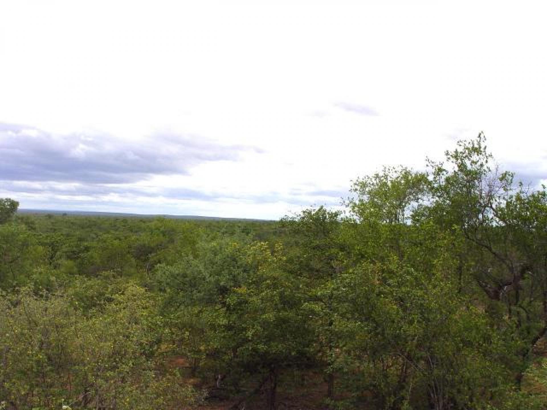 Front View of property in Phalaborwa