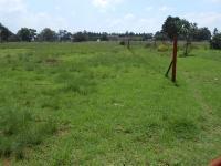 Garden of property in Delmas