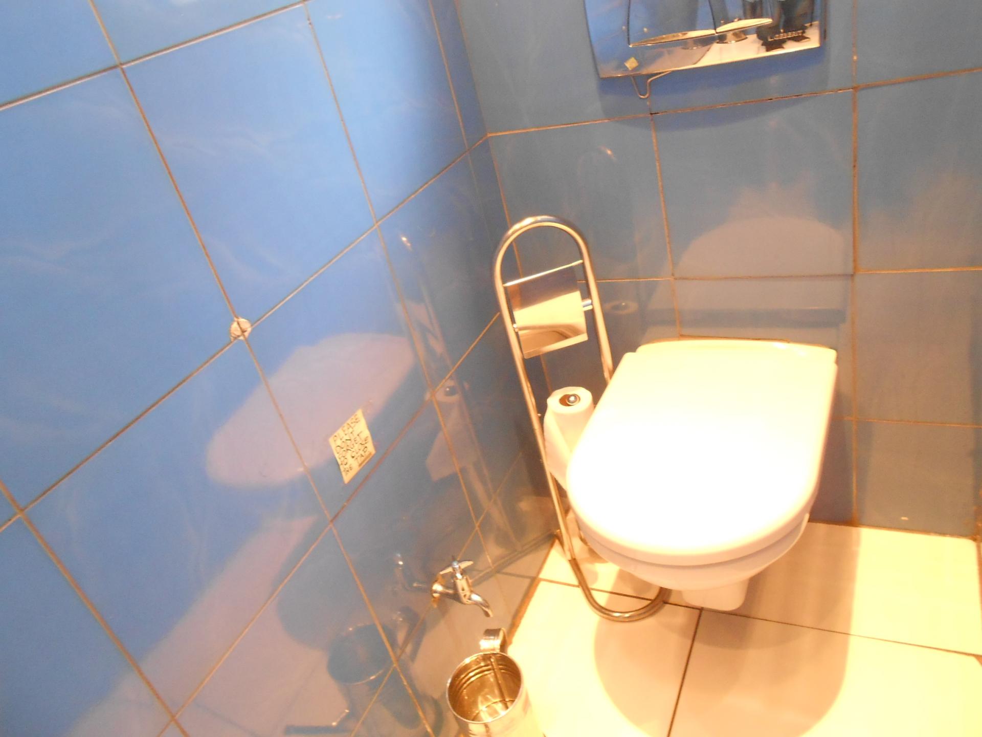 Main Bathroom - 8 square meters of property in Lenasia