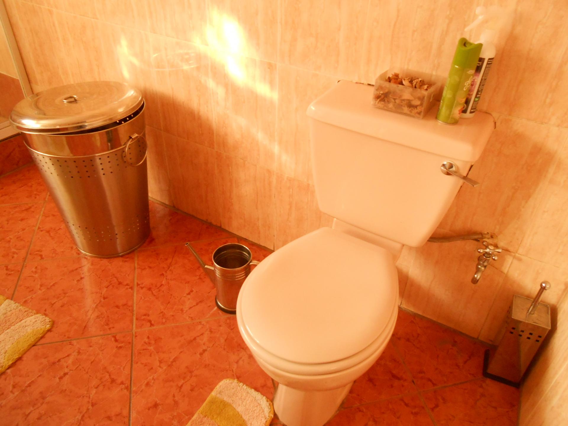 Bathroom 2 - 16 square meters of property in Lenasia