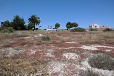 Backyard of property in Velddrift