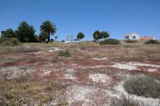 Backyard of property in Velddrift