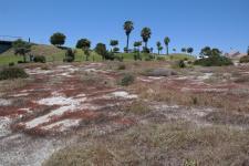 Backyard of property in Velddrift