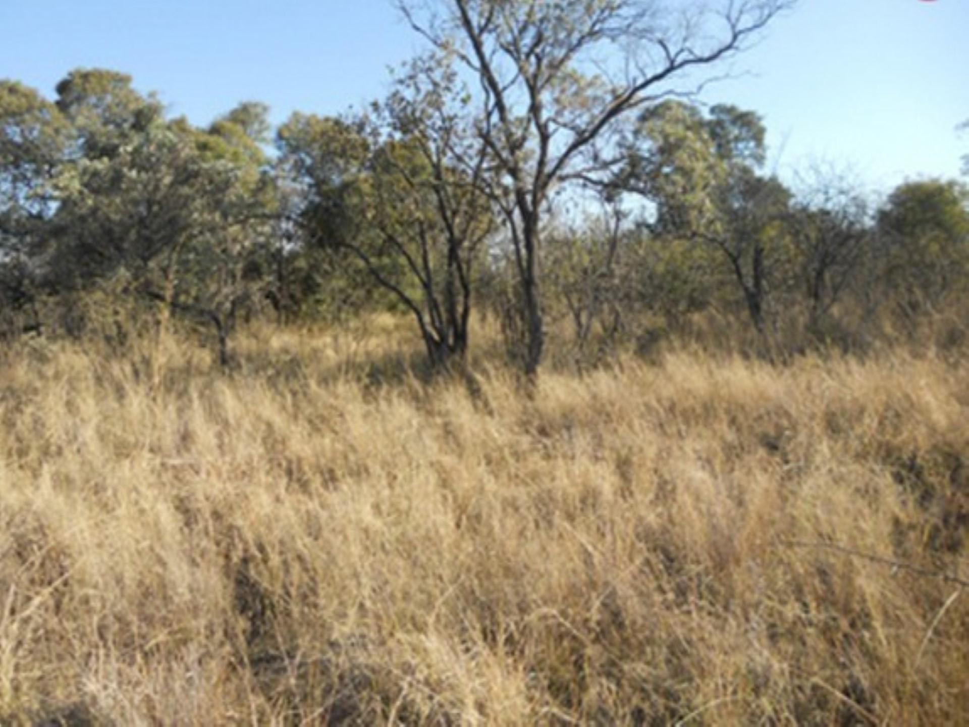 Front View of property in Mookgopong (Naboomspruit)