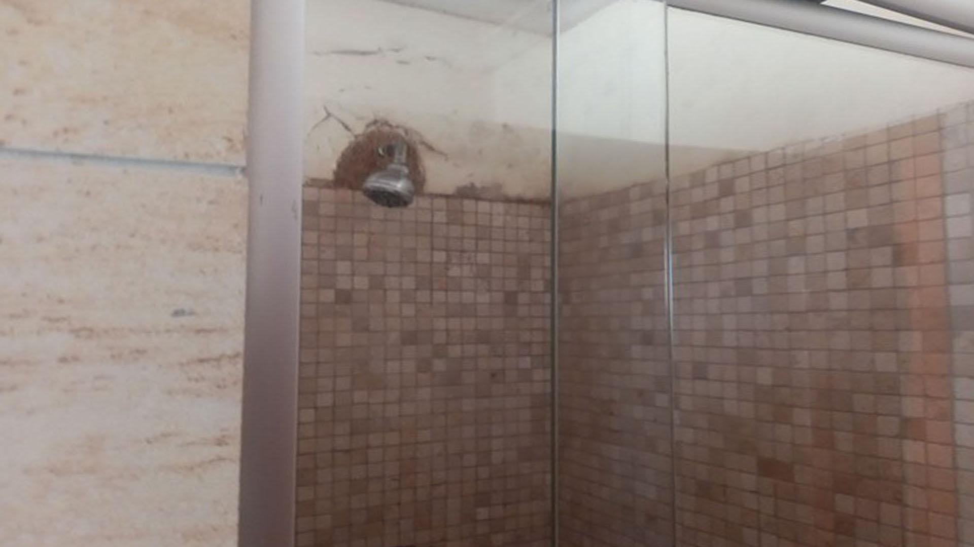 Bathroom 2 - 9 square meters of property in Glenwood - DBN