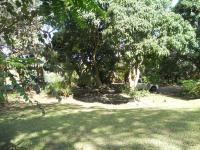Garden of property in Ramsgate