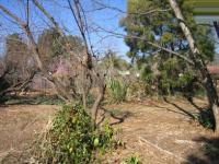 Land for Sale for sale in Waverley