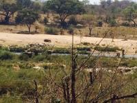 Front View of property in Marloth Park