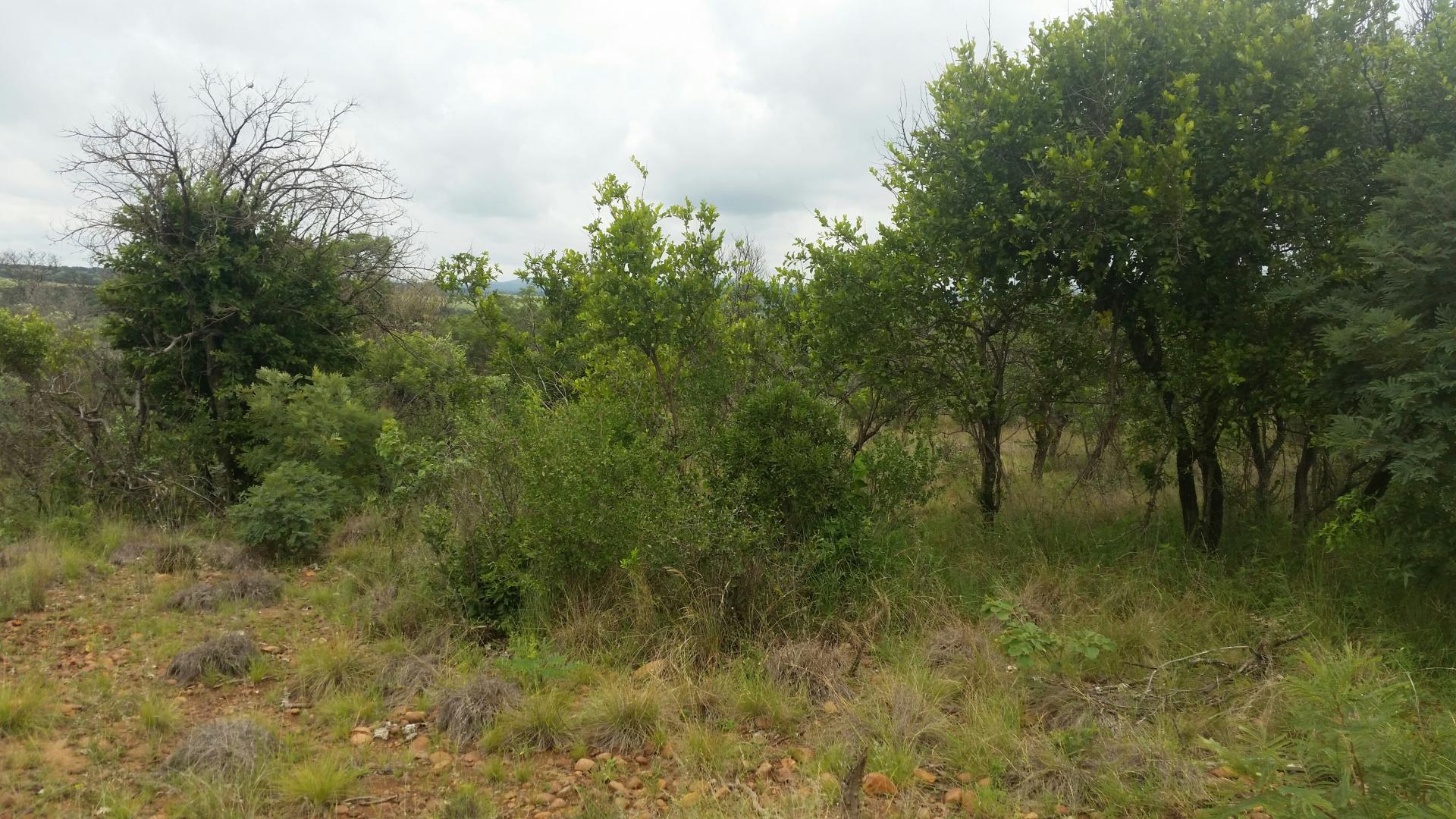 Front View of property in Mokopane (Potgietersrust)
