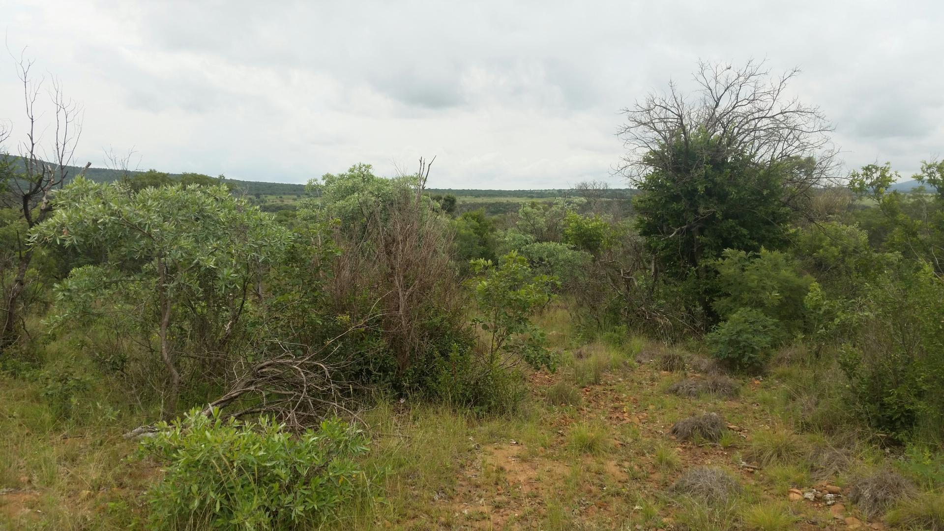 Front View of property in Mokopane (Potgietersrust)