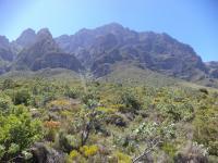 Front View of property in Tulbagh