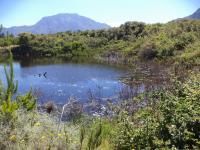 Spaces of property in Tulbagh