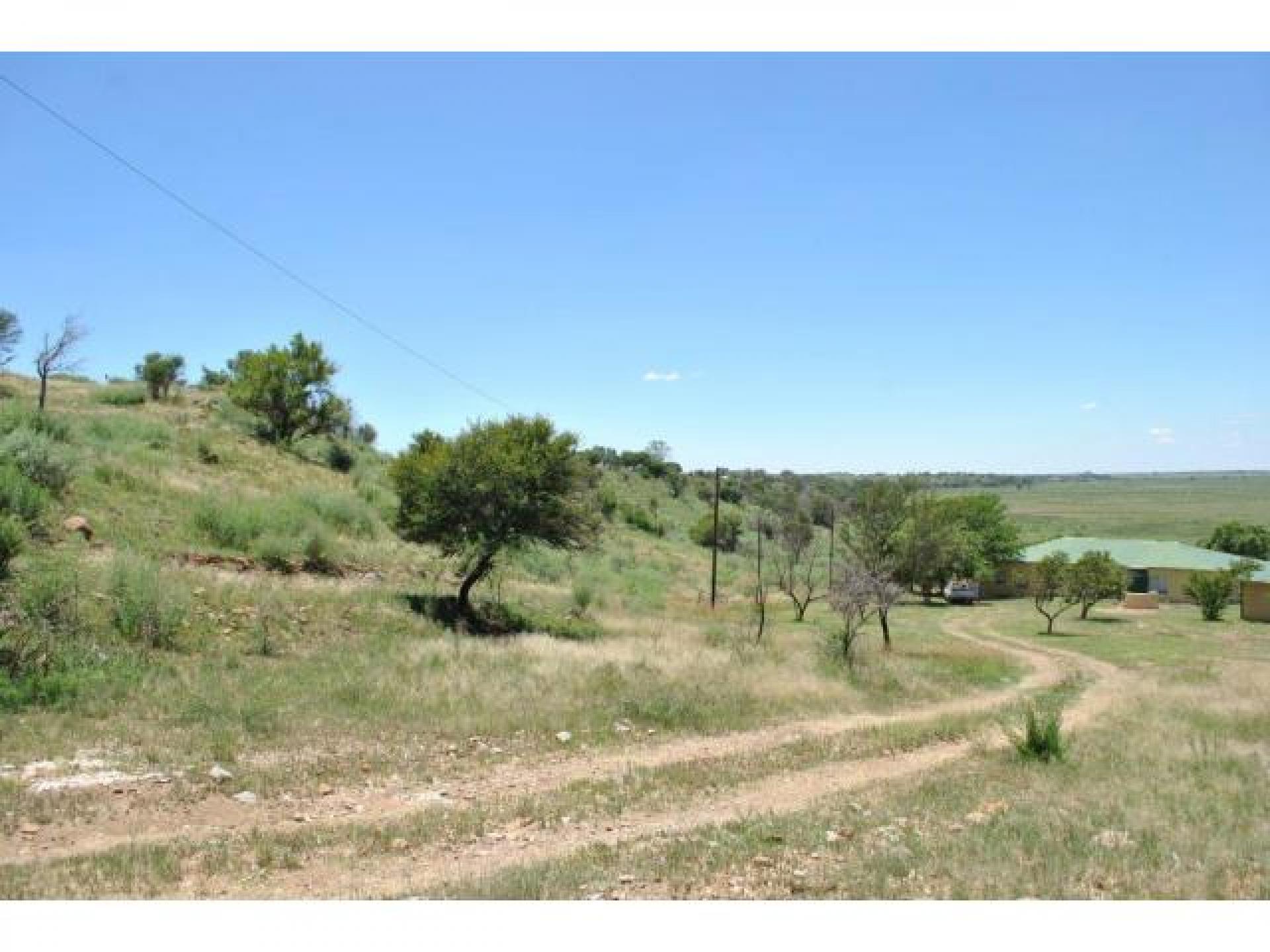 Front View of property in Koppies