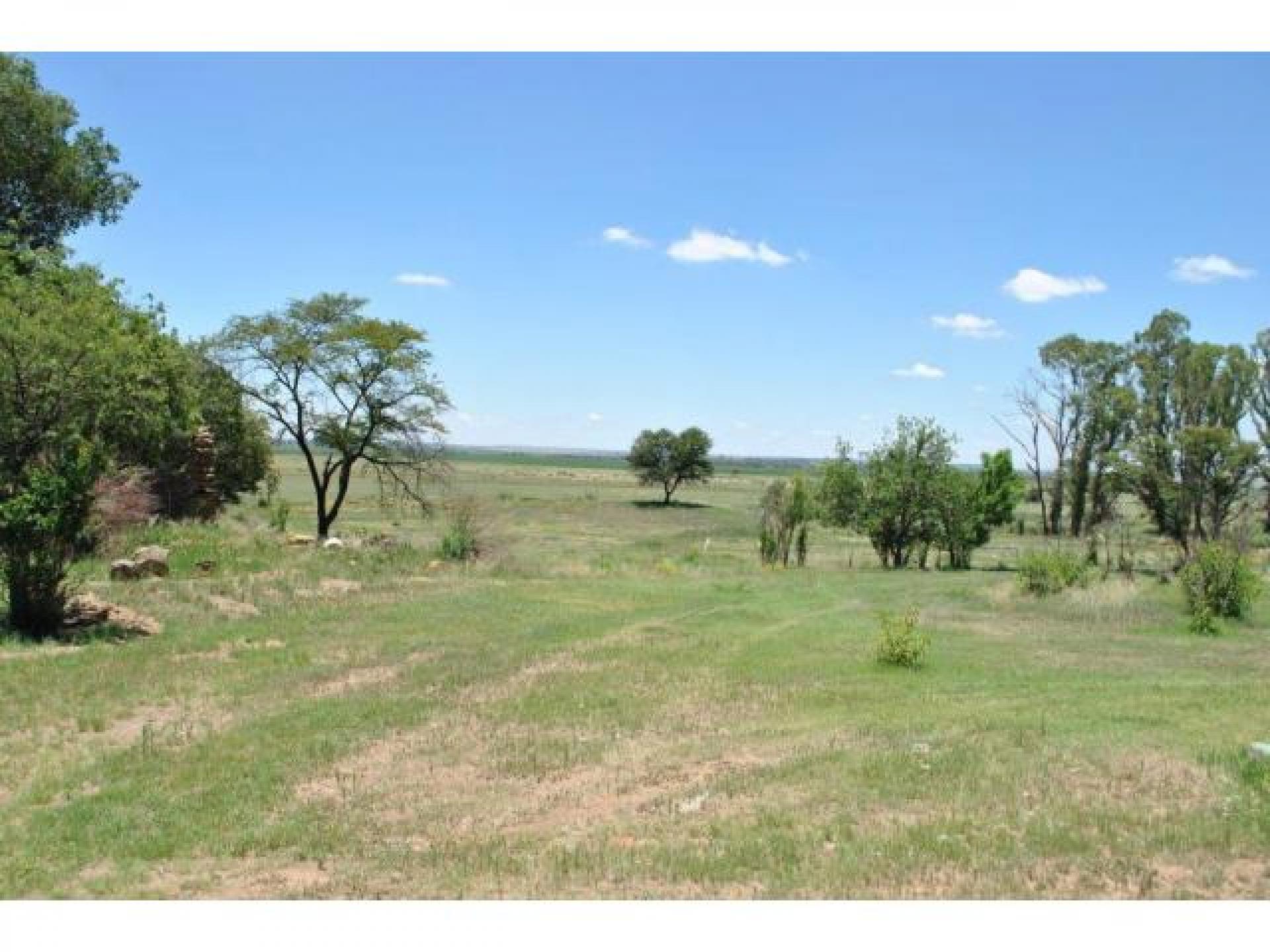 Front View of property in Koppies