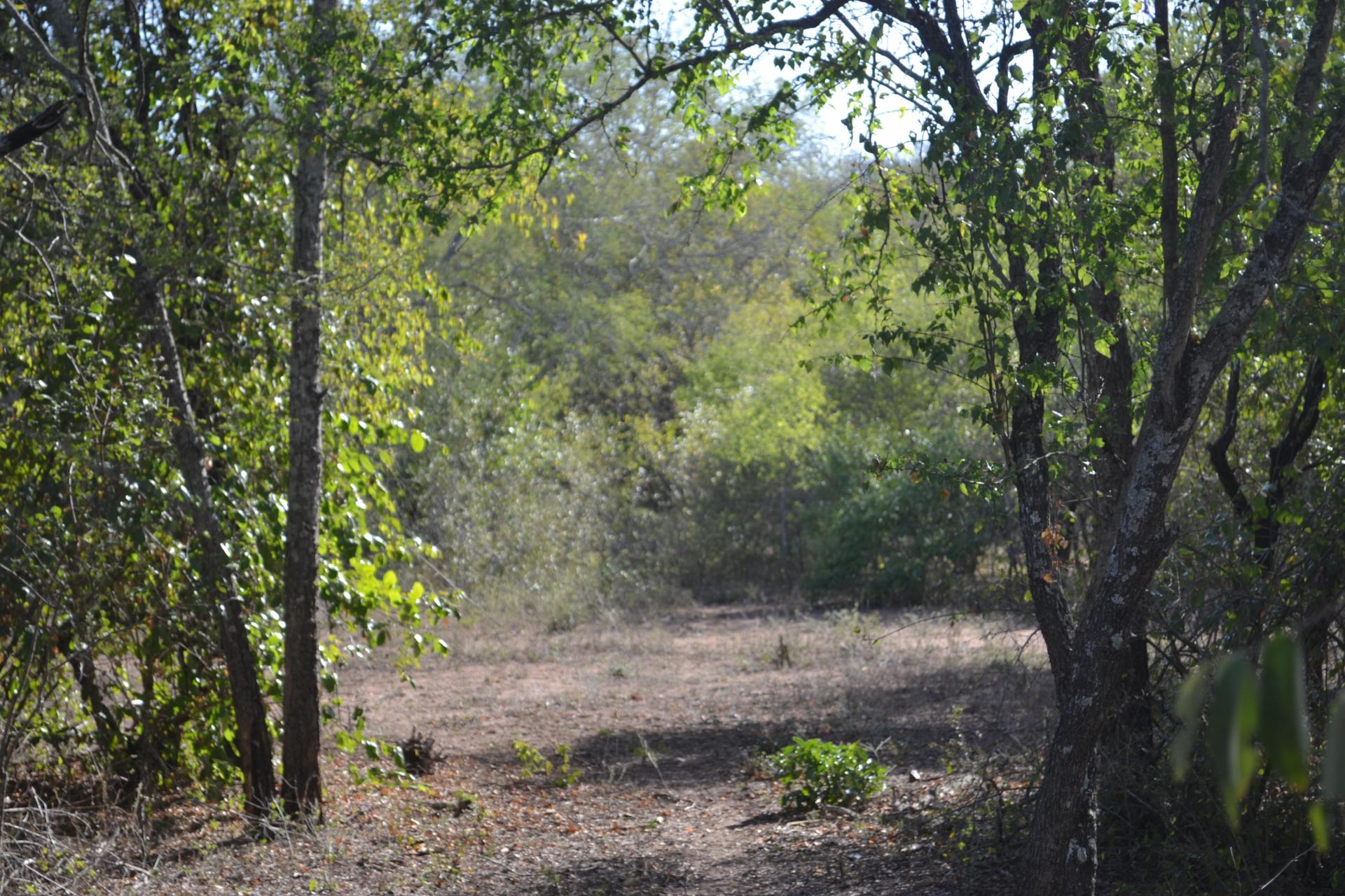 Front View of property in Marloth Park