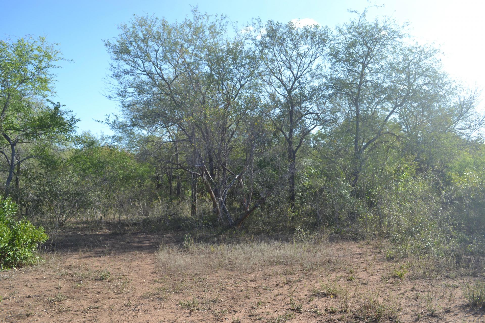 Front View of property in Marloth Park