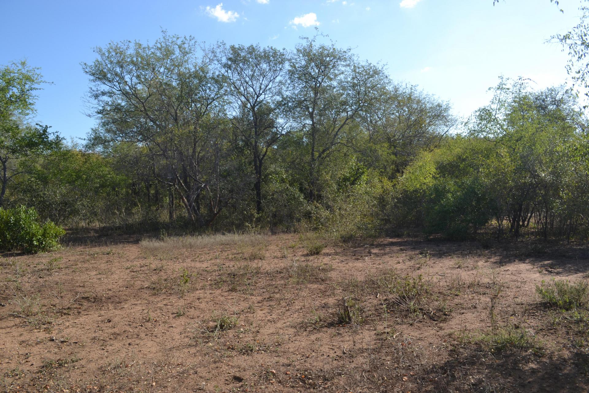 Front View of property in Marloth Park