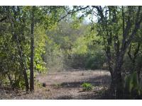 Front View of property in Marloth Park