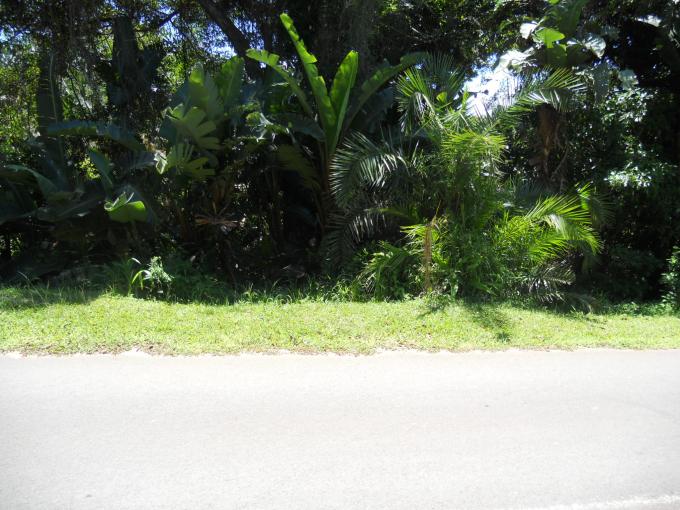 Land for Sale For Sale in Palm Beach - Home Sell - MR123915