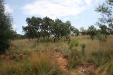 Land for Sale for sale in Waterkloof