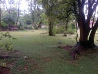 Backyard of property in Zeerust