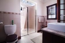 Bathroom 1 - 9 square meters of property in The Meadows Estate