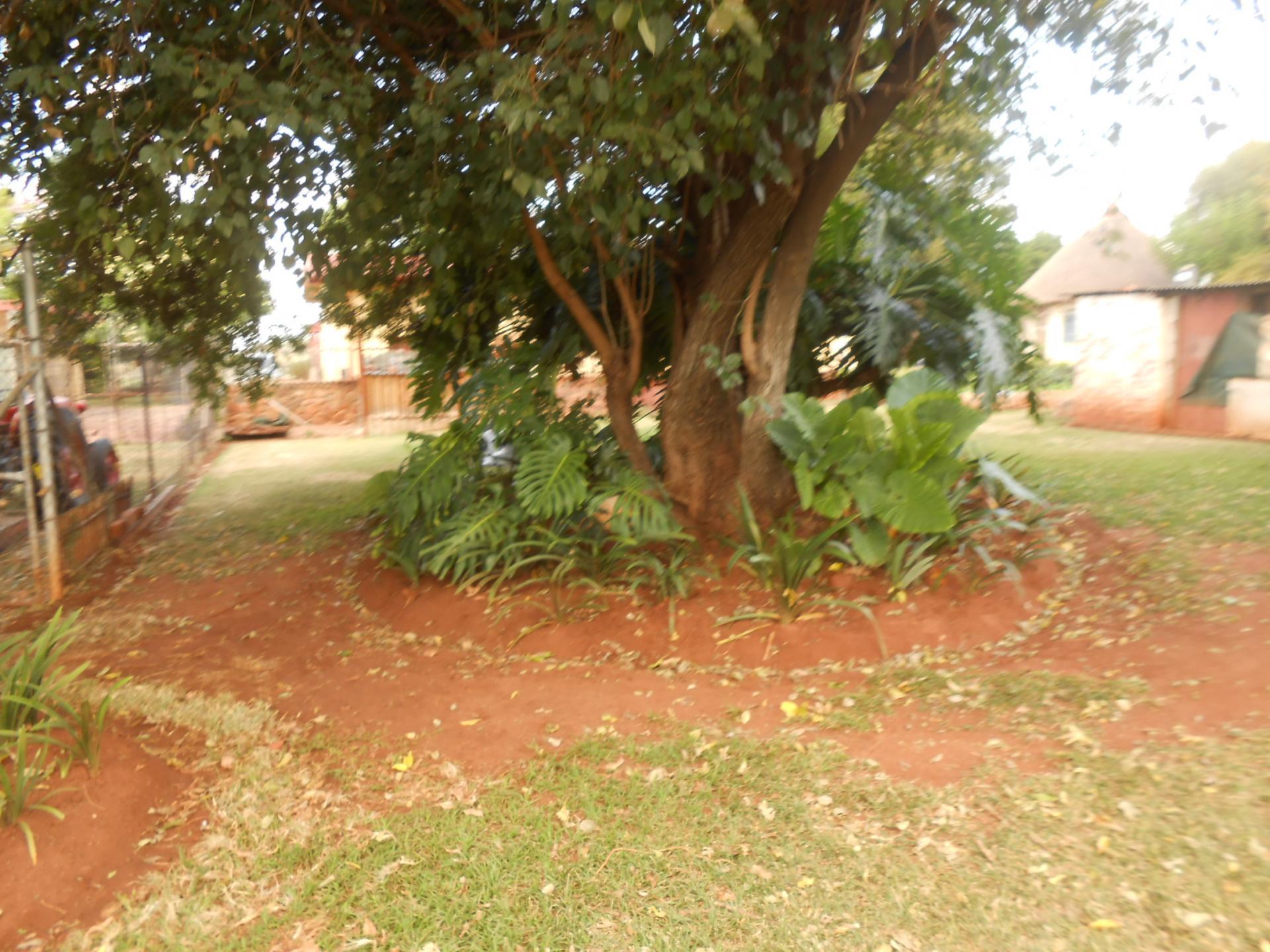 Backyard of property in Akasia