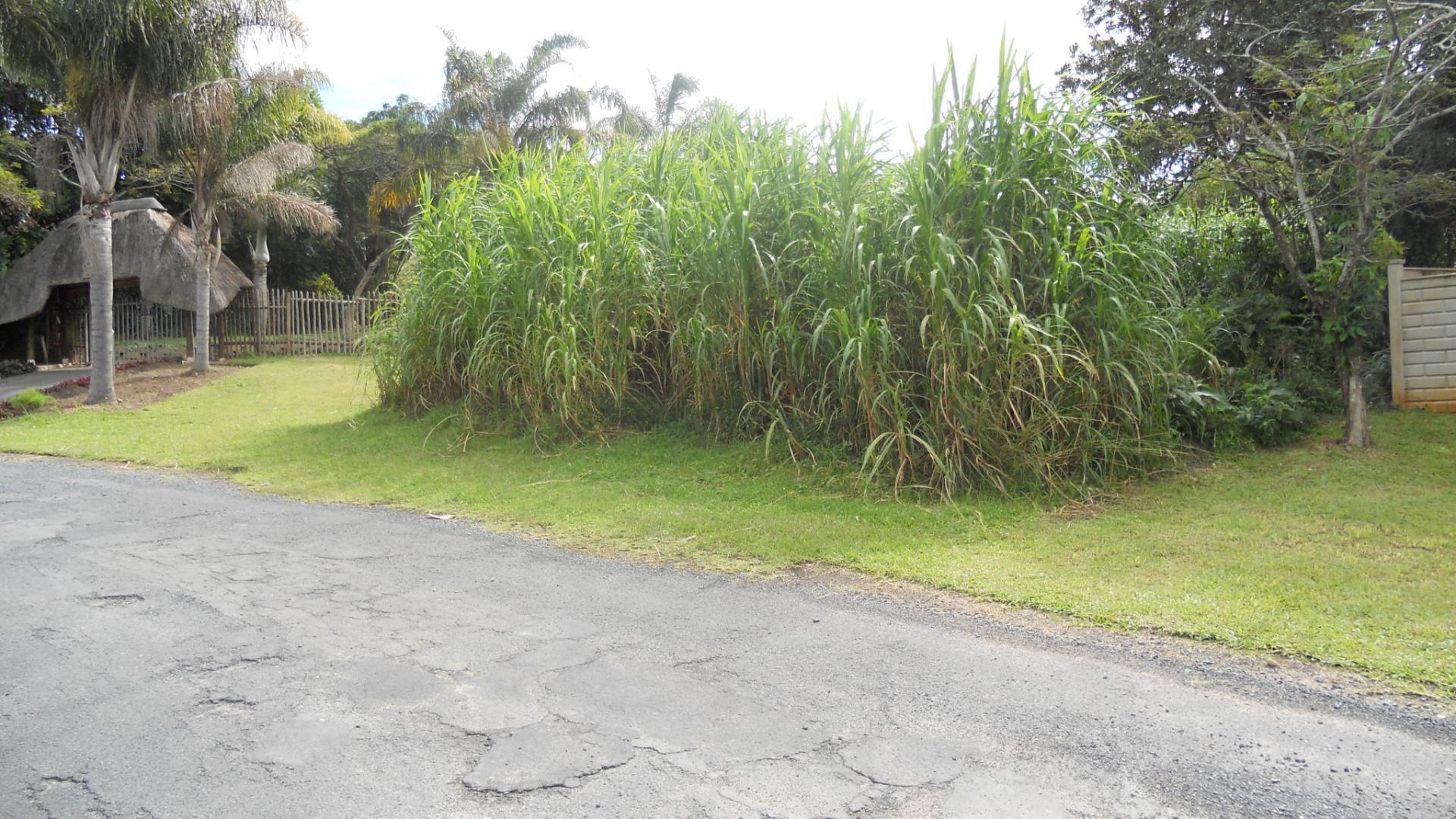 Front View of property in Shelly Beach