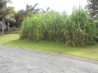 Front View of property in Shelly Beach