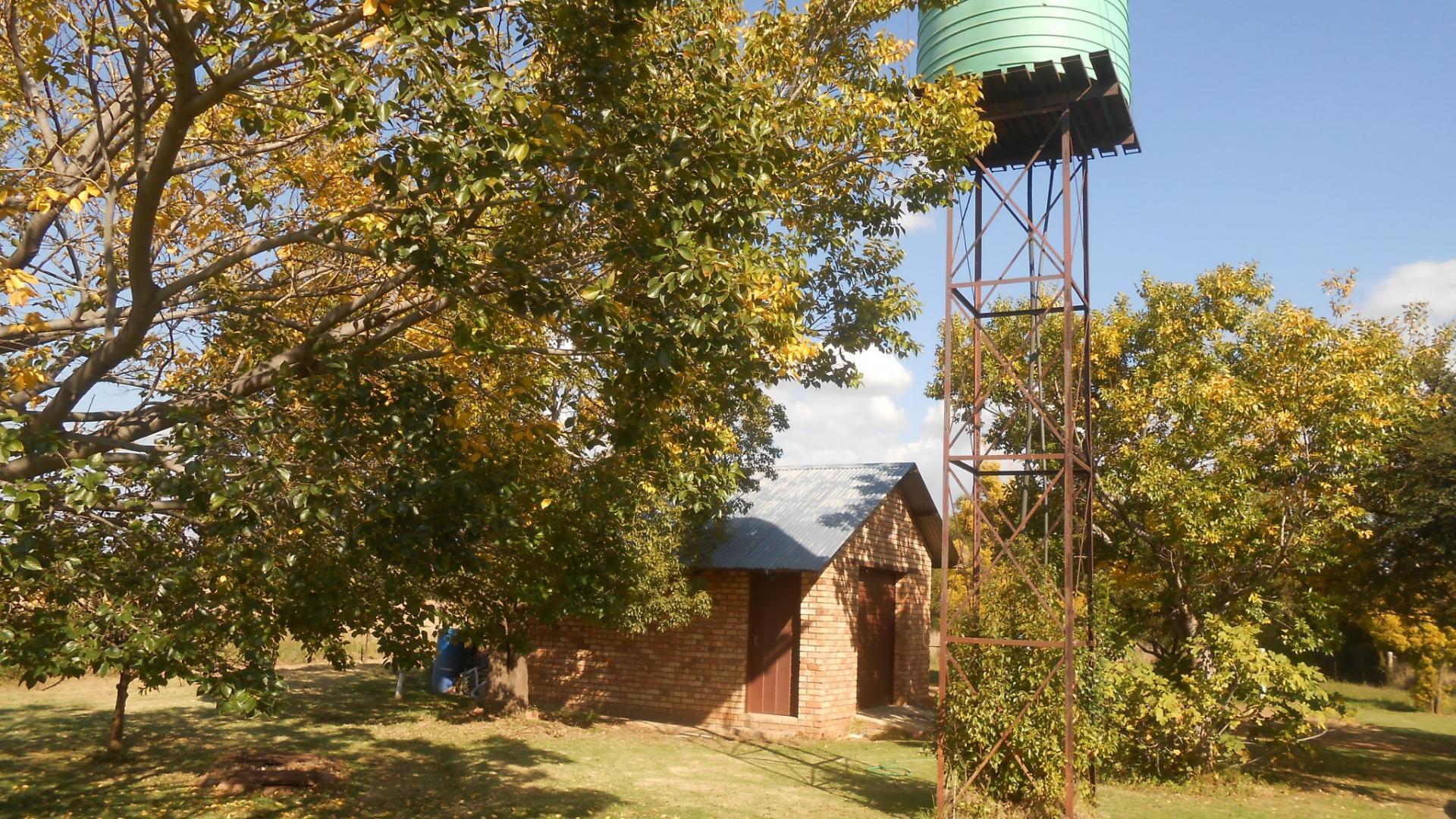 Backyard of property in Rietfontein JR