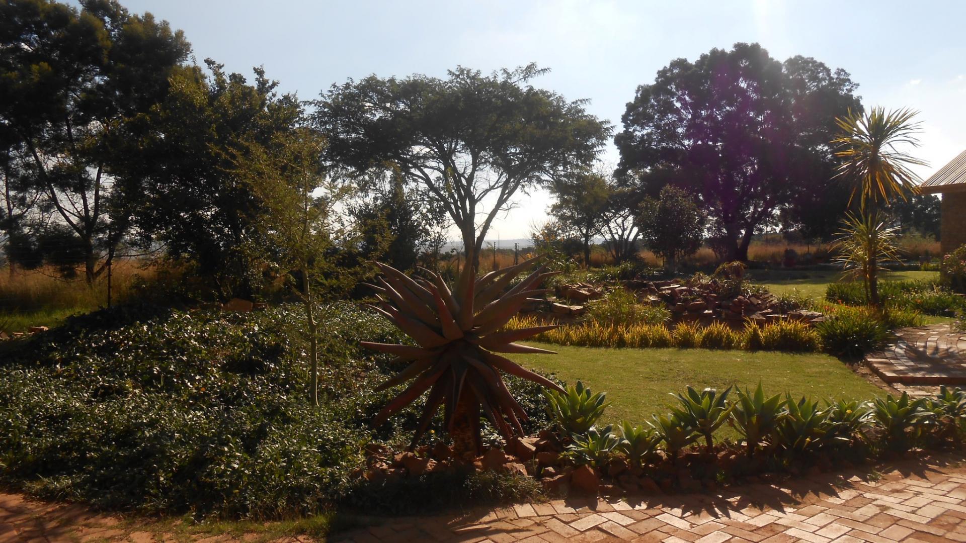 Backyard of property in Rietfontein JR